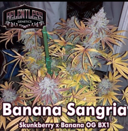 banana sangria